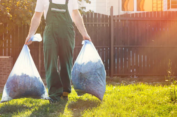 Best Electronics Removal Services  in Mokena, IL